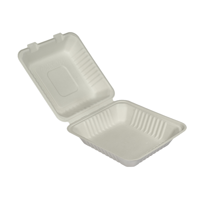 Disposable Takeaway Lunch Box